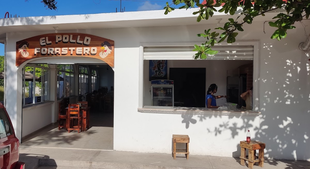 El Pollo Forastero
