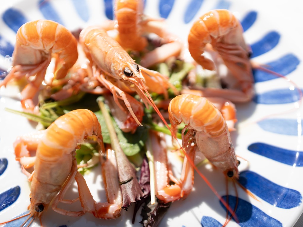 Amfora restaurant Rovinj