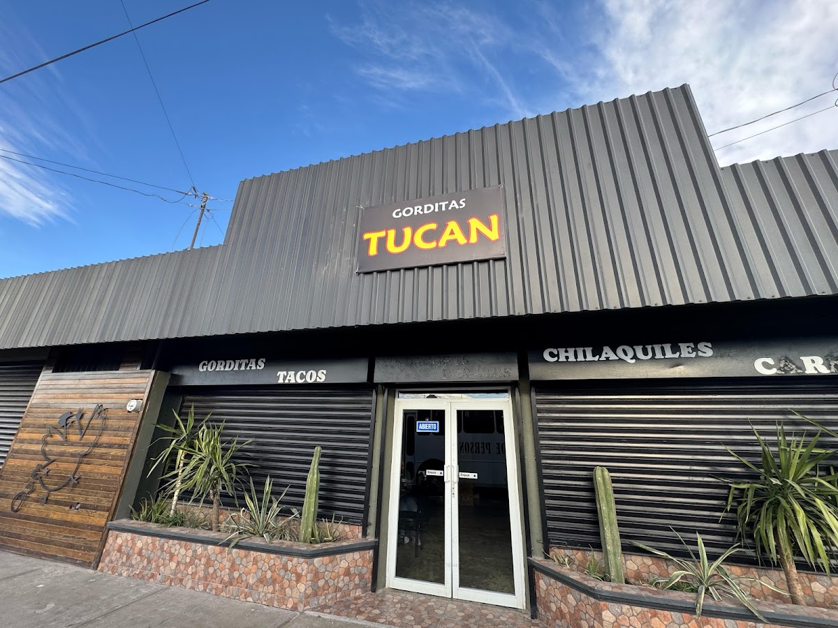 TUCÁN