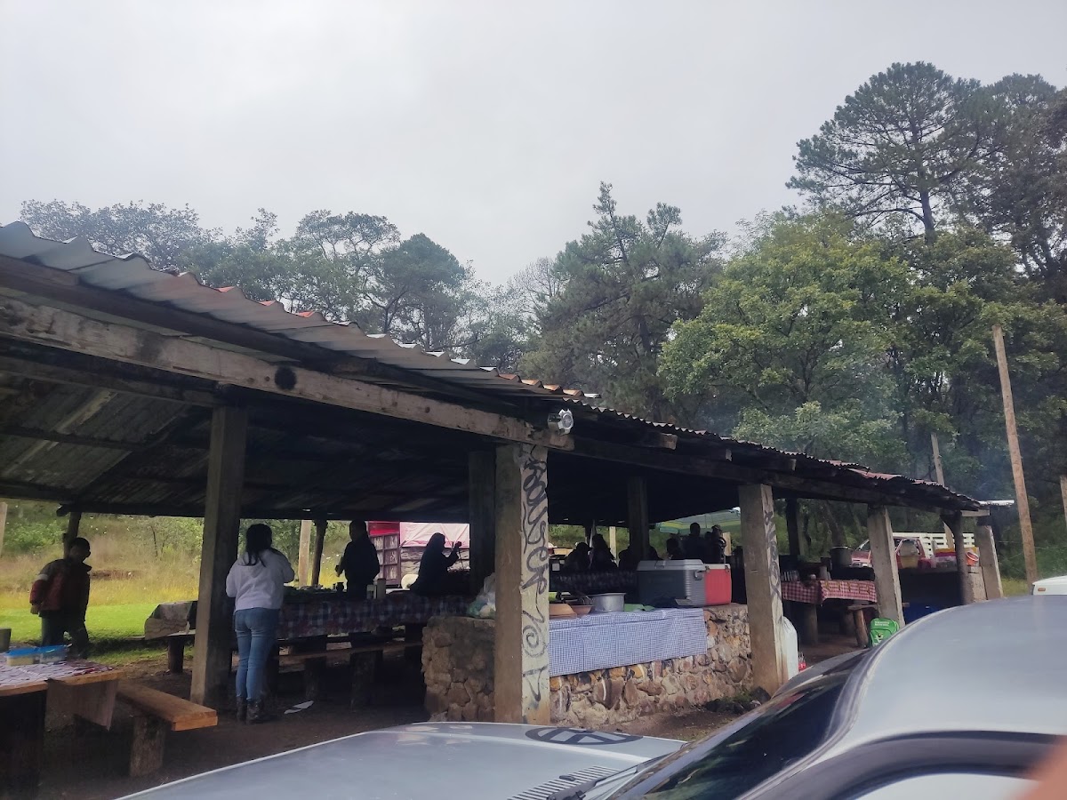 Barbacoa don Priciliano