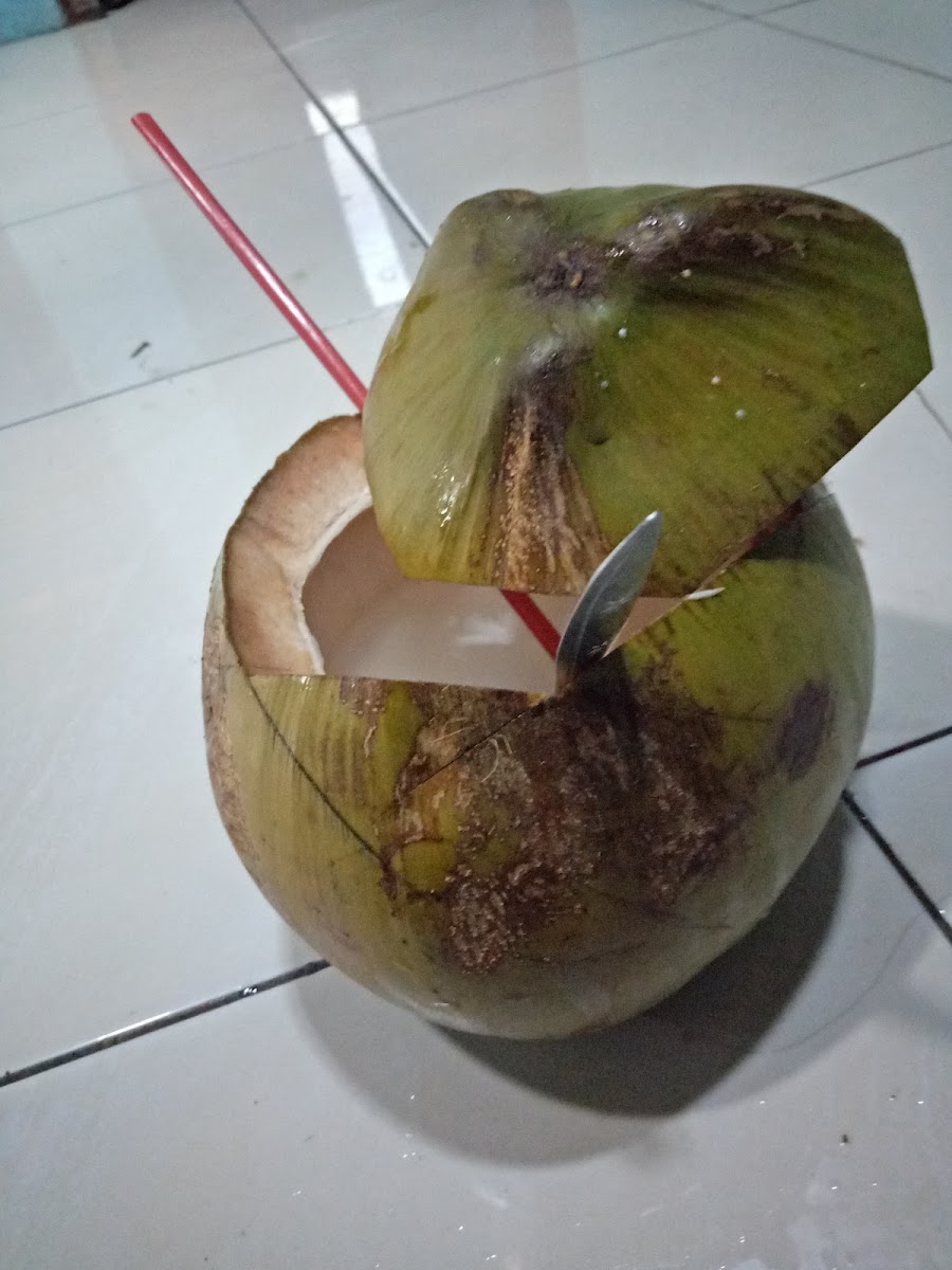 Es Kelapa Muda Pak Kusno