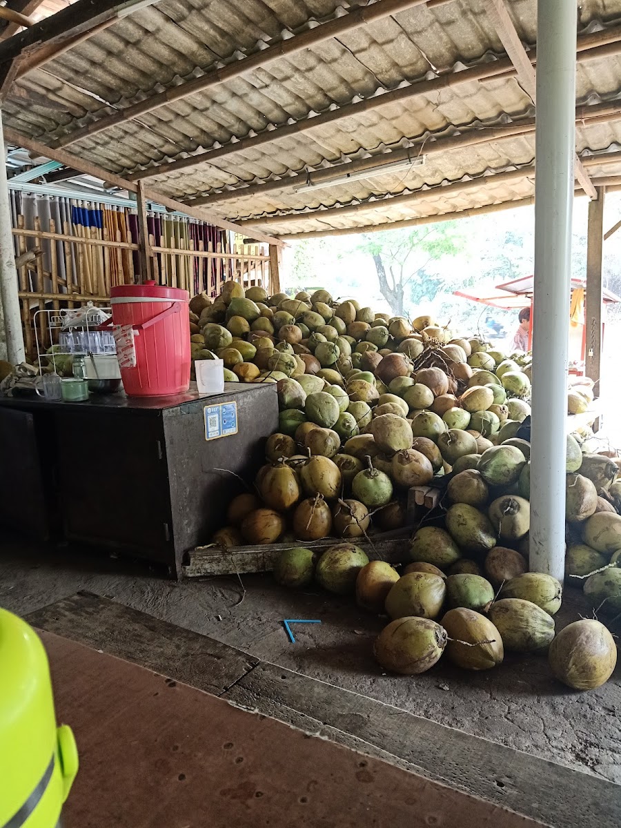 Kelapa Muda GDC