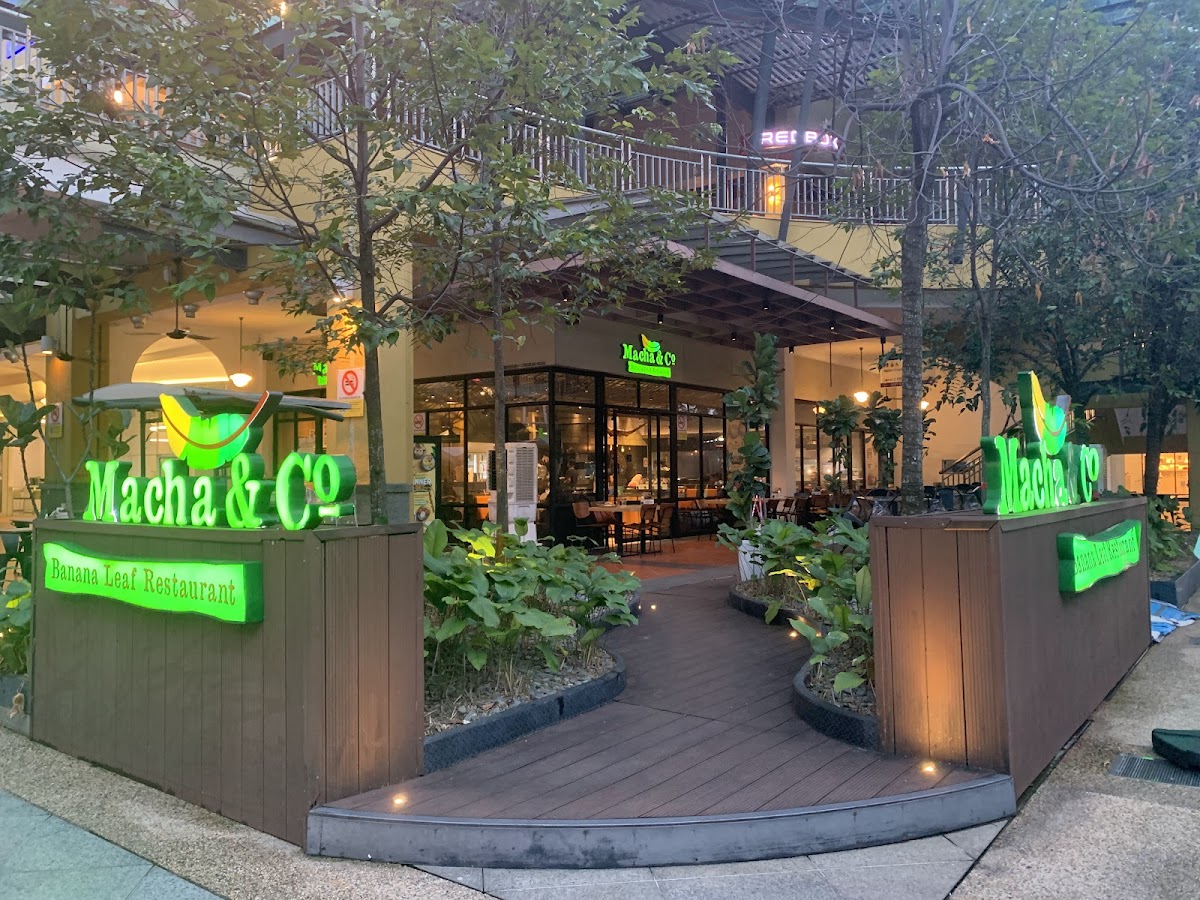 Macha & Co The Curve