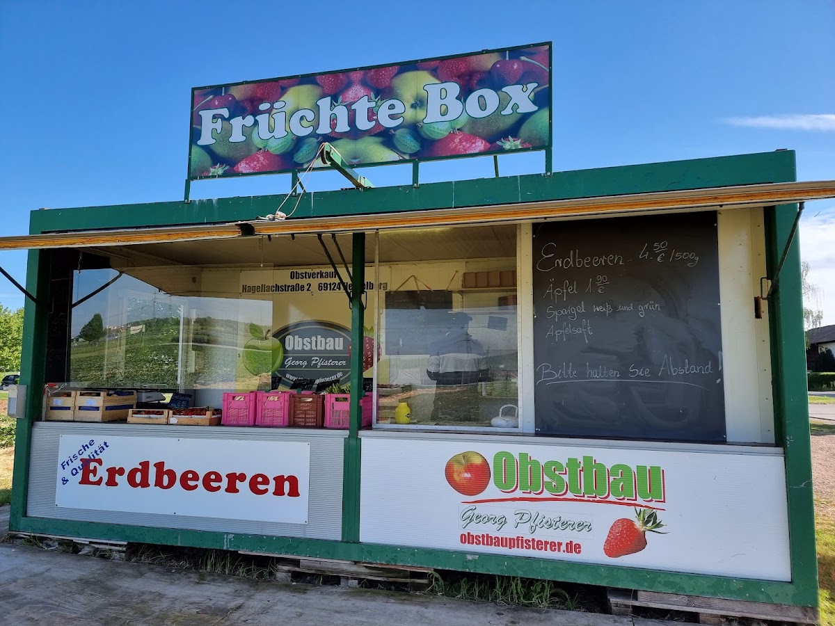 Obstbau Pfisterer - Erdbeeren Selbstpflückfeld - Heidelberg