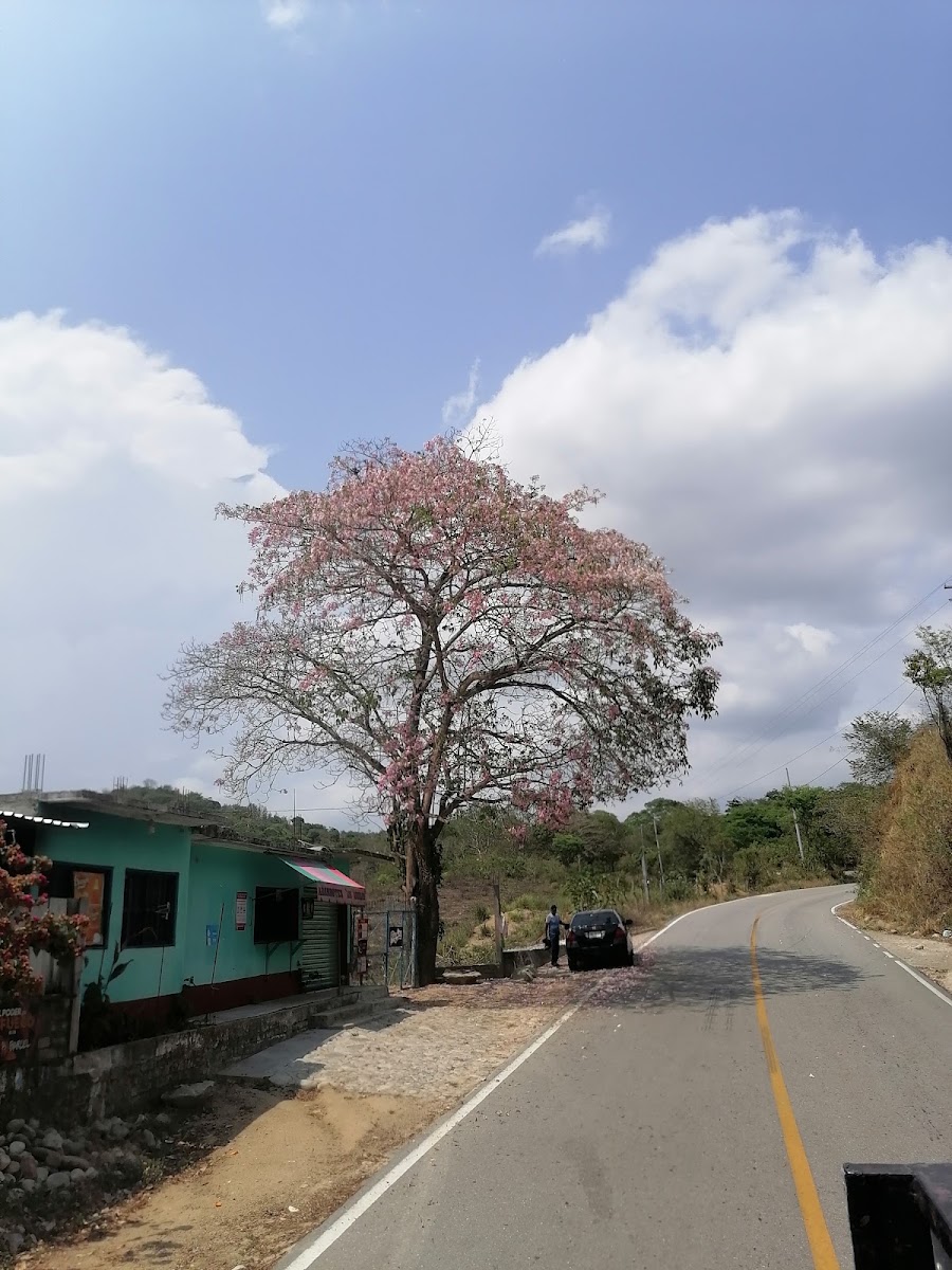 Abarrotes Edu