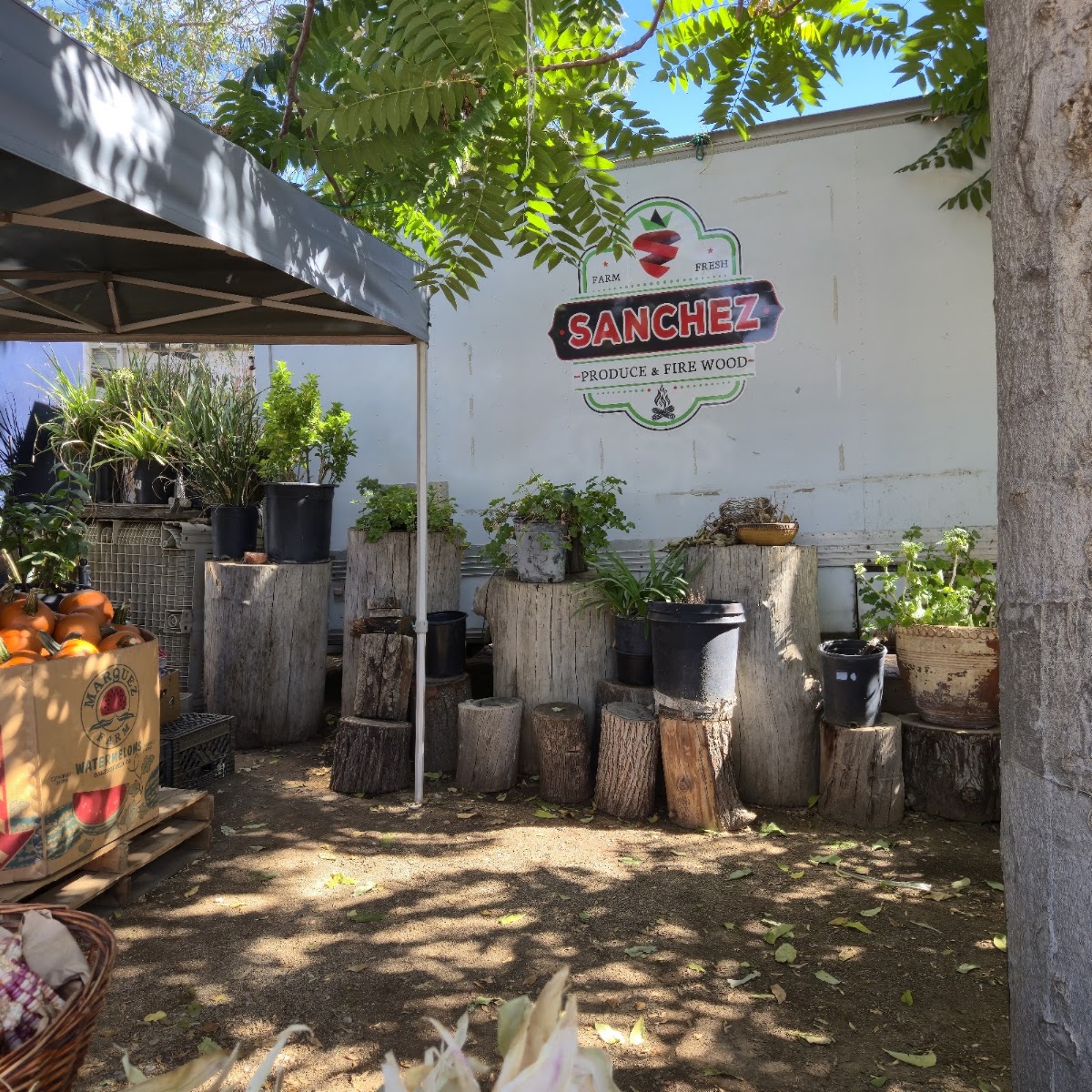 Sanchez Produce