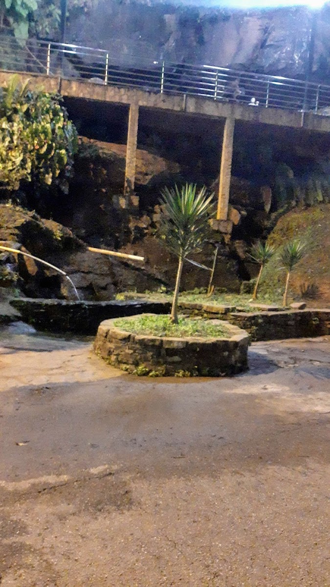 Mexídão Dagruta