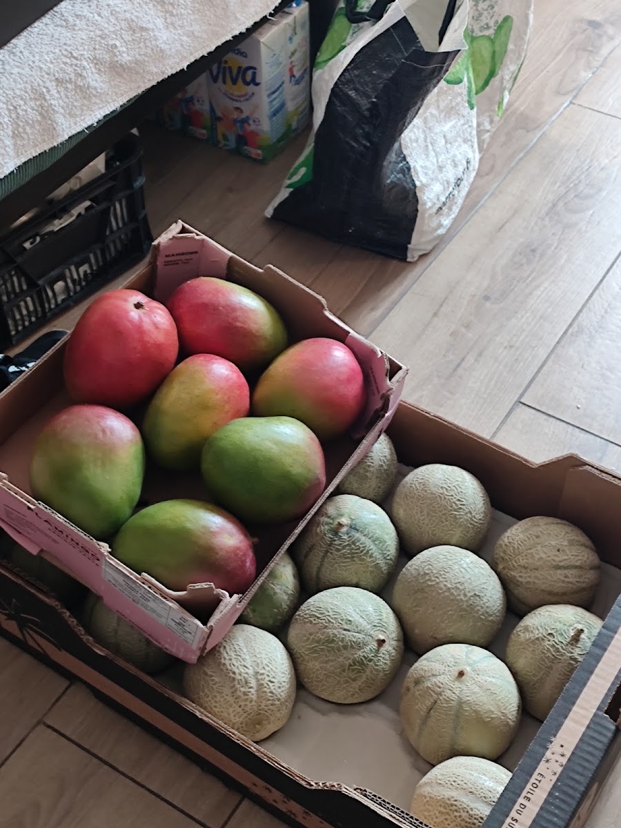 Marché Frais