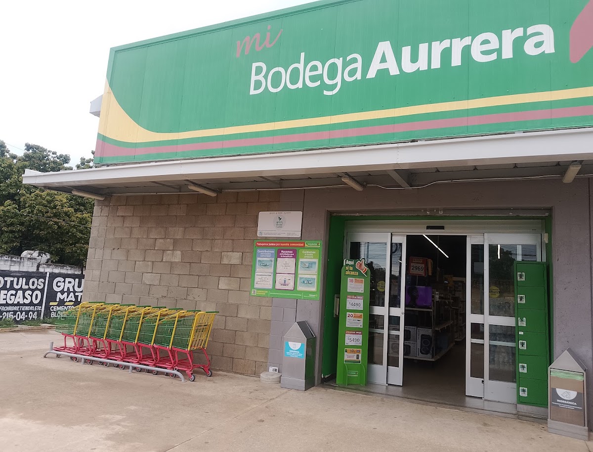 Mi Bodega Aurrera [El Parral]