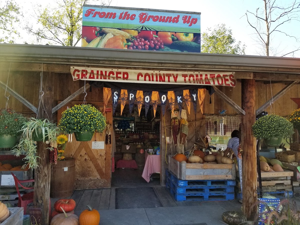 From the Ground Up