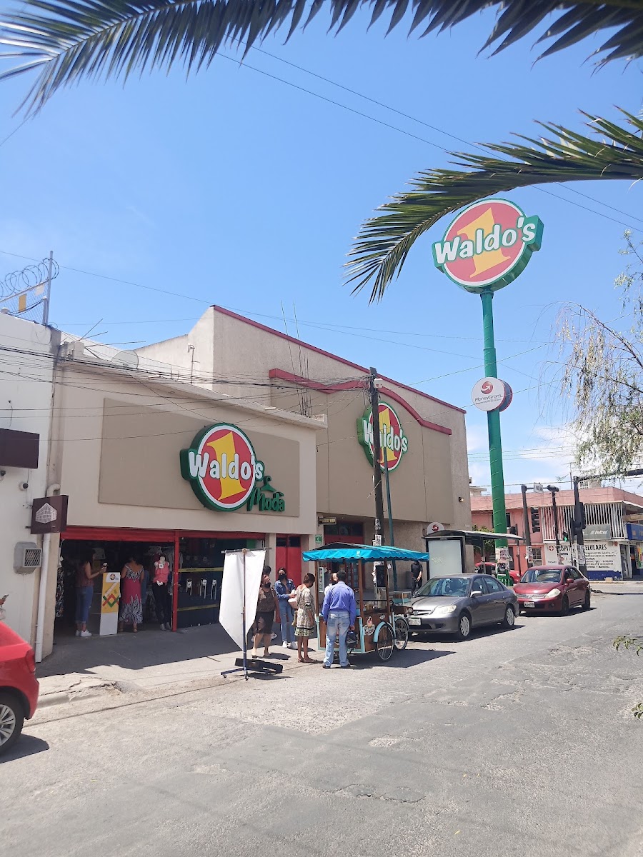 Waldo's Anaya (SLP)