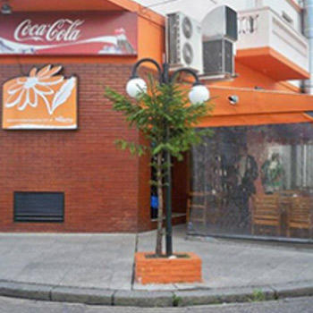 LAS MARGARITAS PIZZERÍA