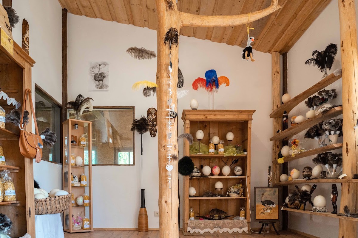straussen-shop.com - alles rund um den Strauß