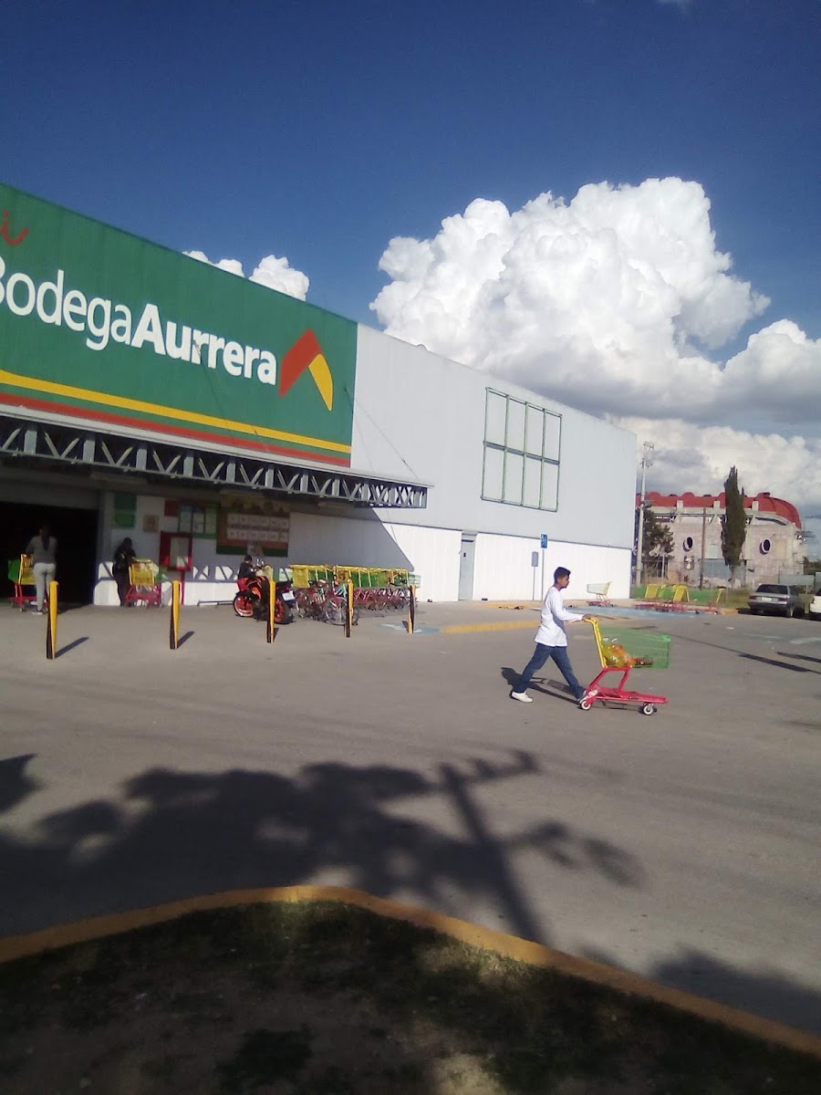 Mi Bodega Aurrera, San Francisco de los Romos