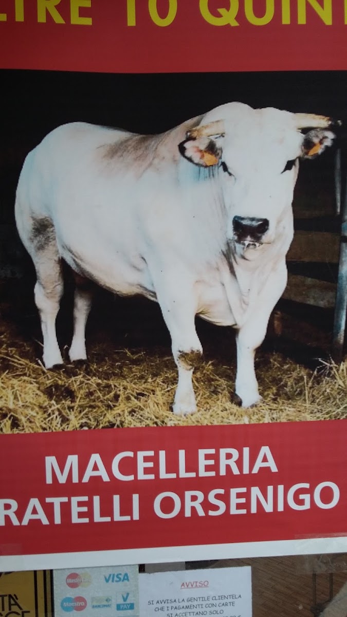 F.lli Orsenigo di Gianbattista e Marco S.N.C.