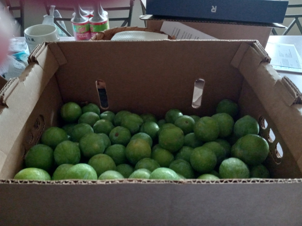 Vince's Farm Fresh Produce