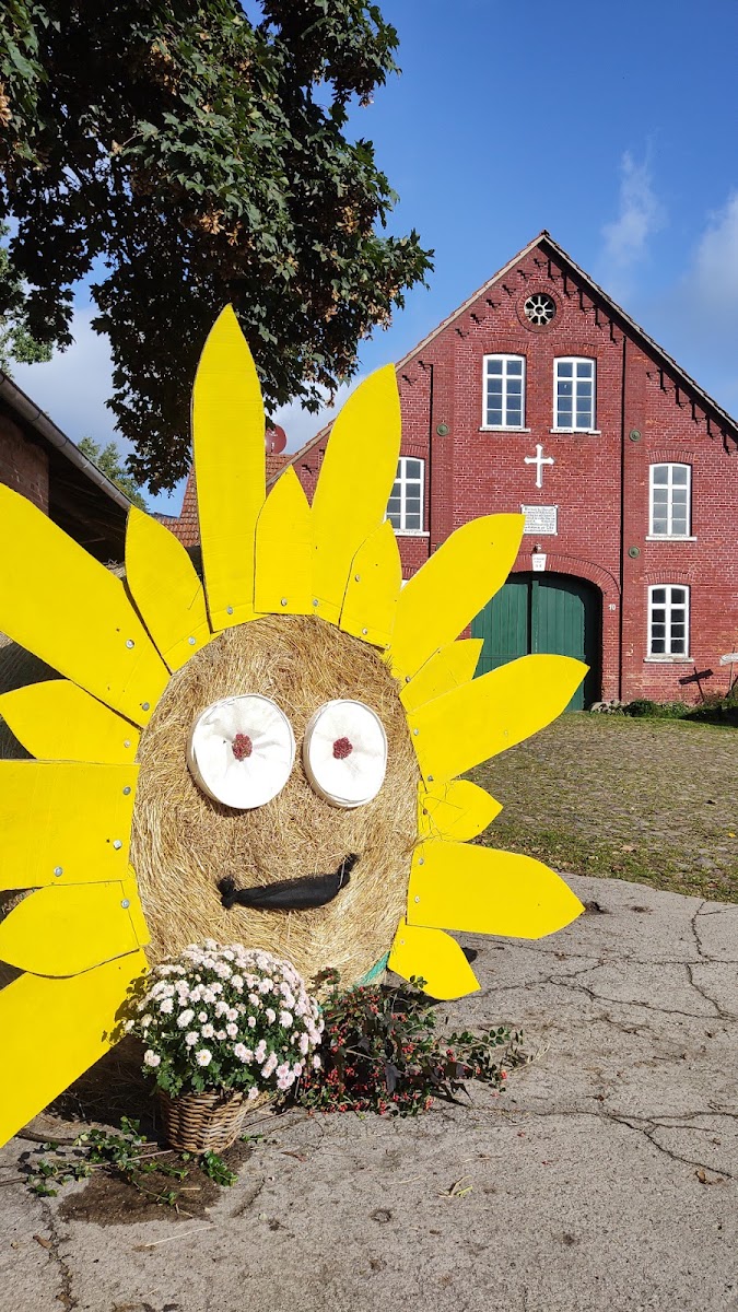 LebensmittelPunkt