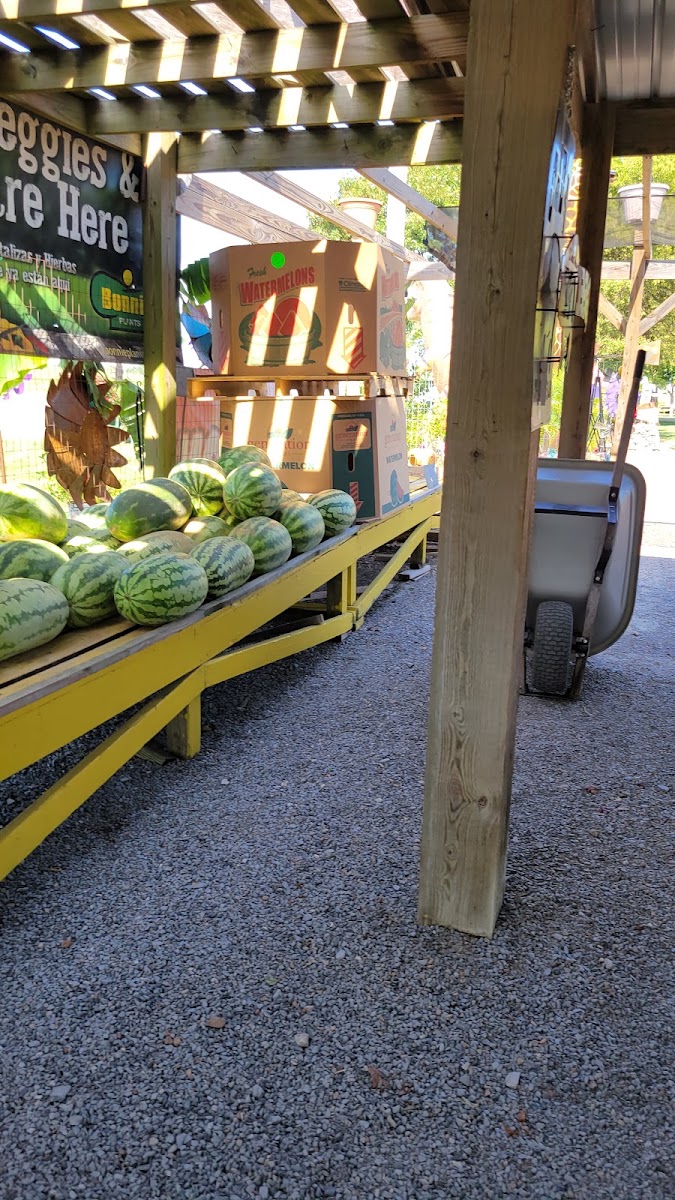 Peach Shed