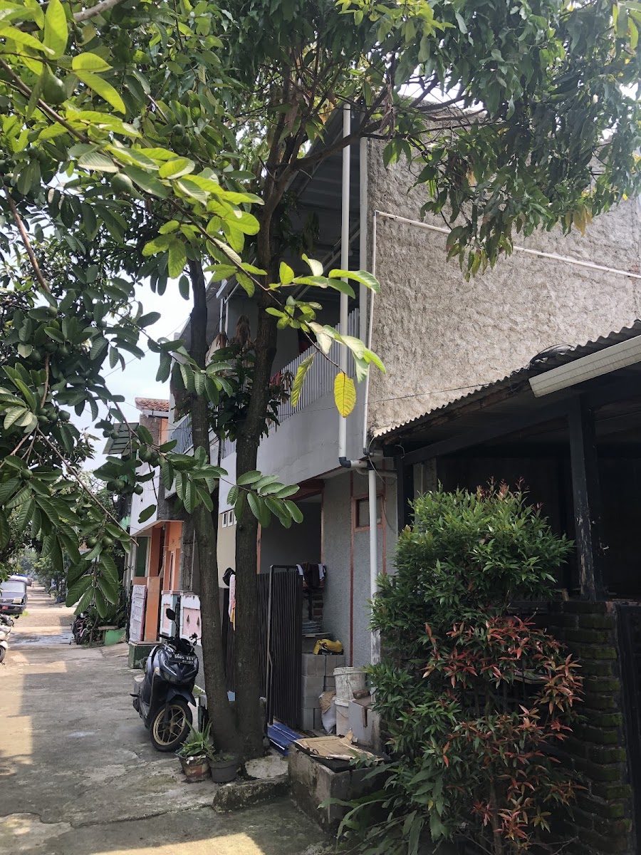 Rumah zetgur