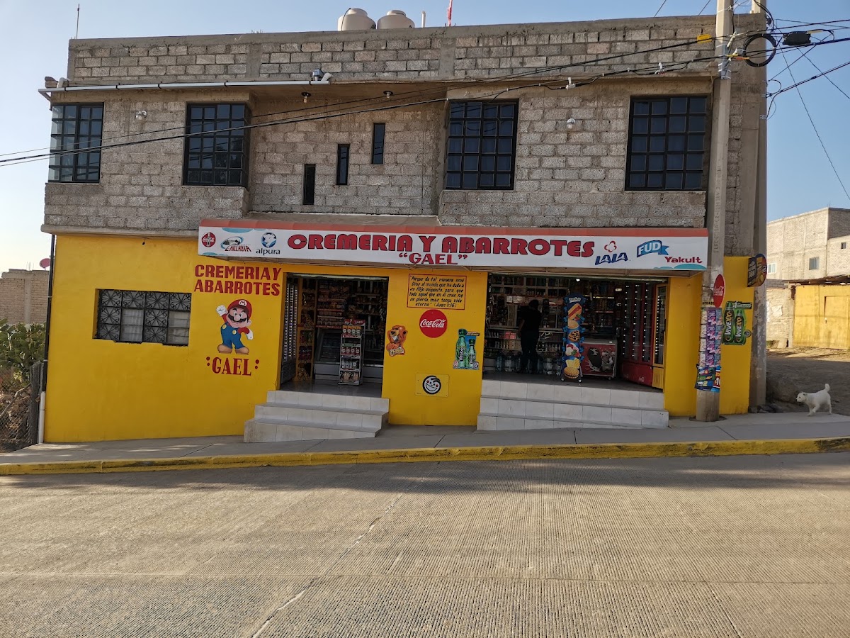 Abarrotes Gael