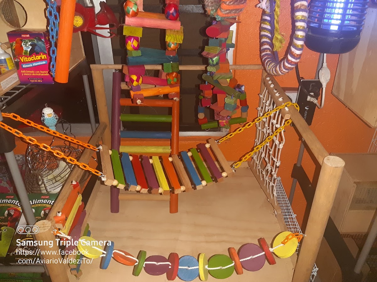 mini super el roble