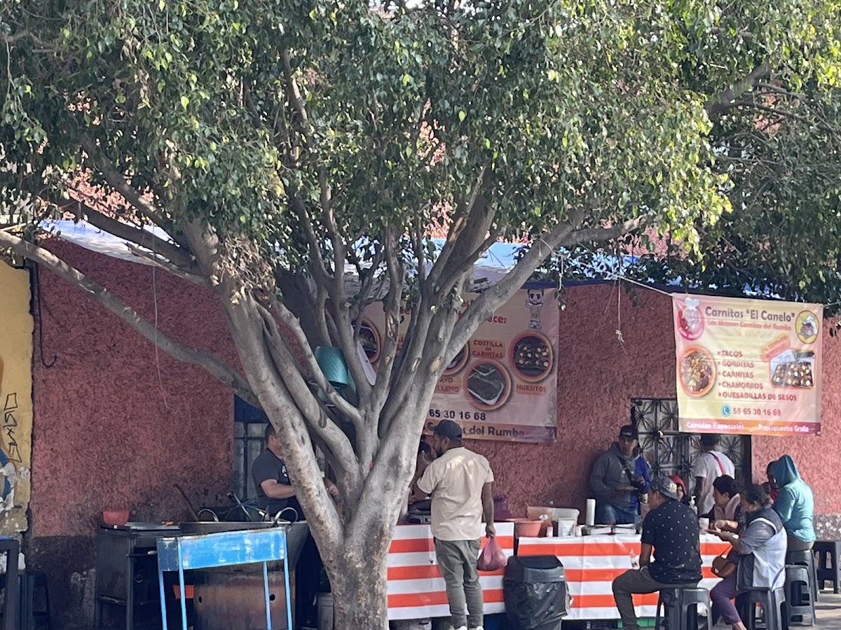 Carnitas 'Canelo'