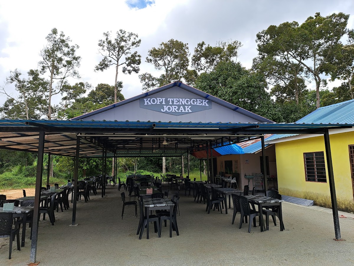 Kopi Tenggek Jorak