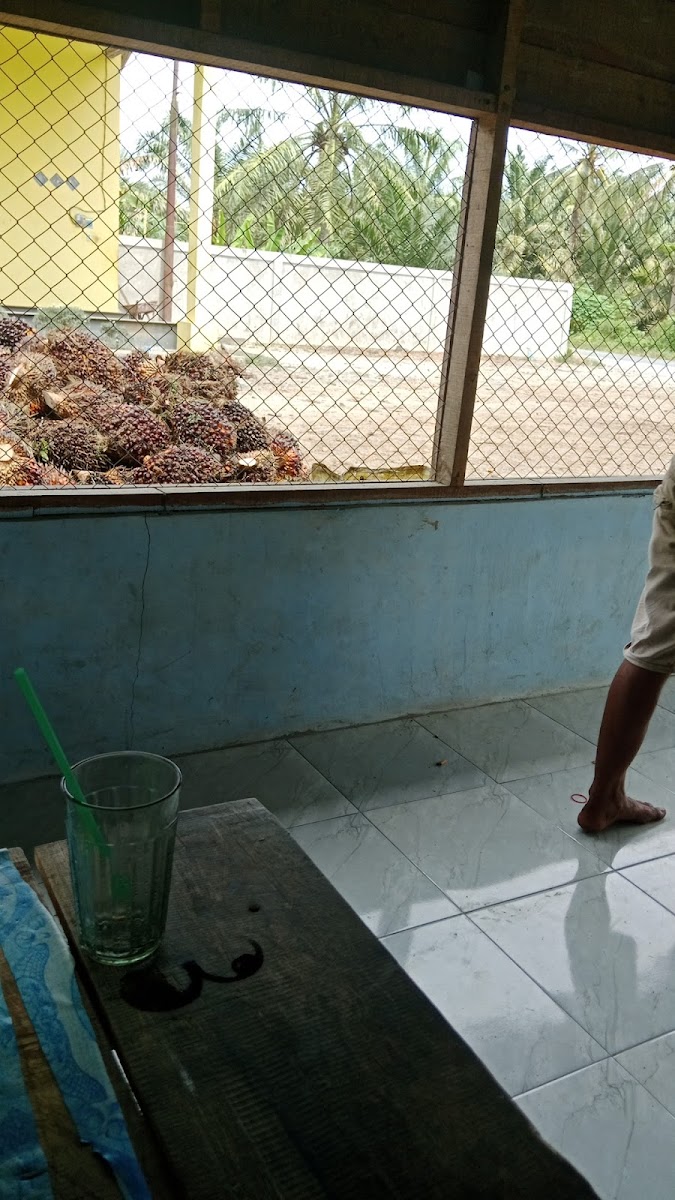 Dimas Net