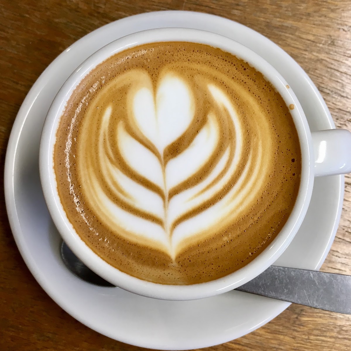 ARK Coffee Company