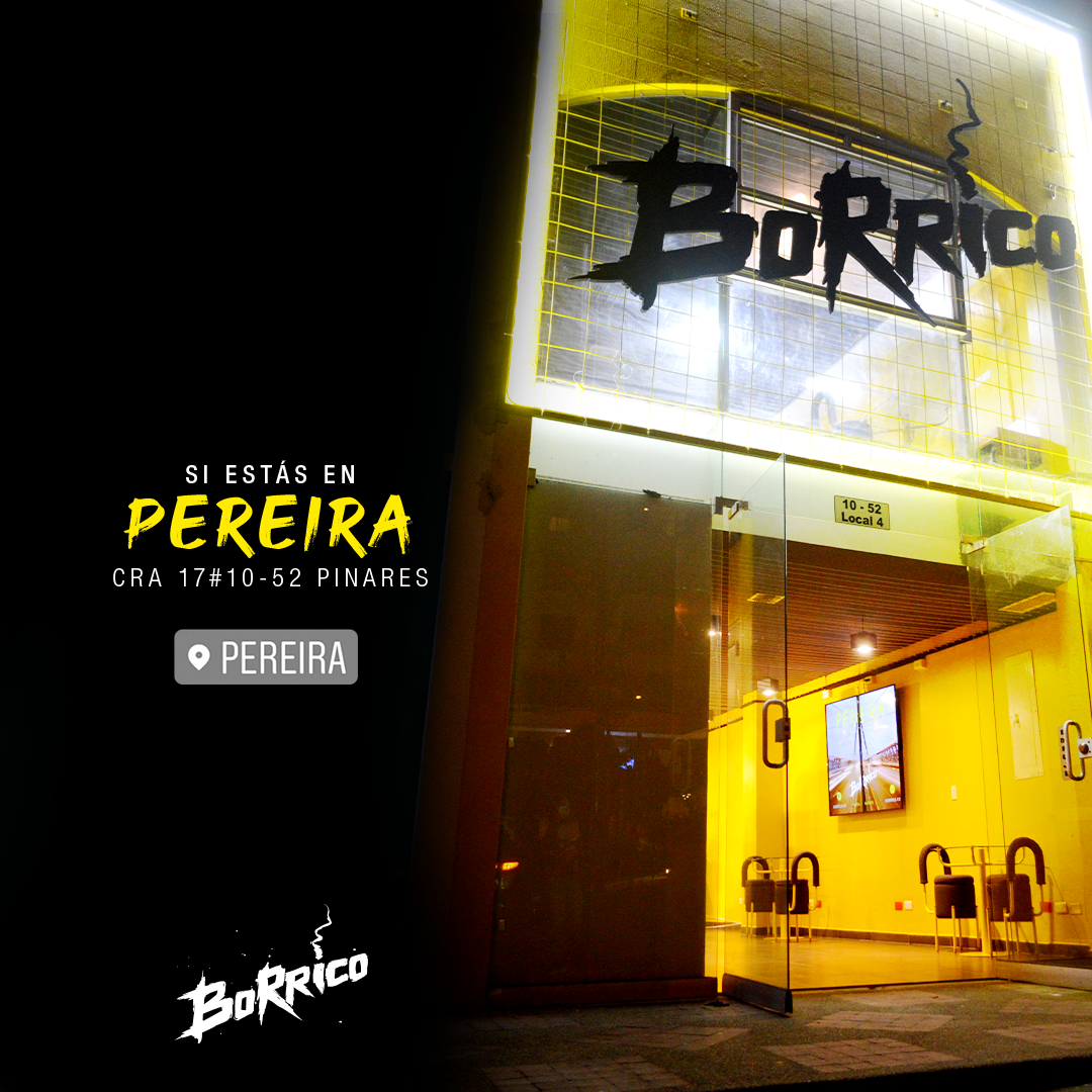Borrico Colombia