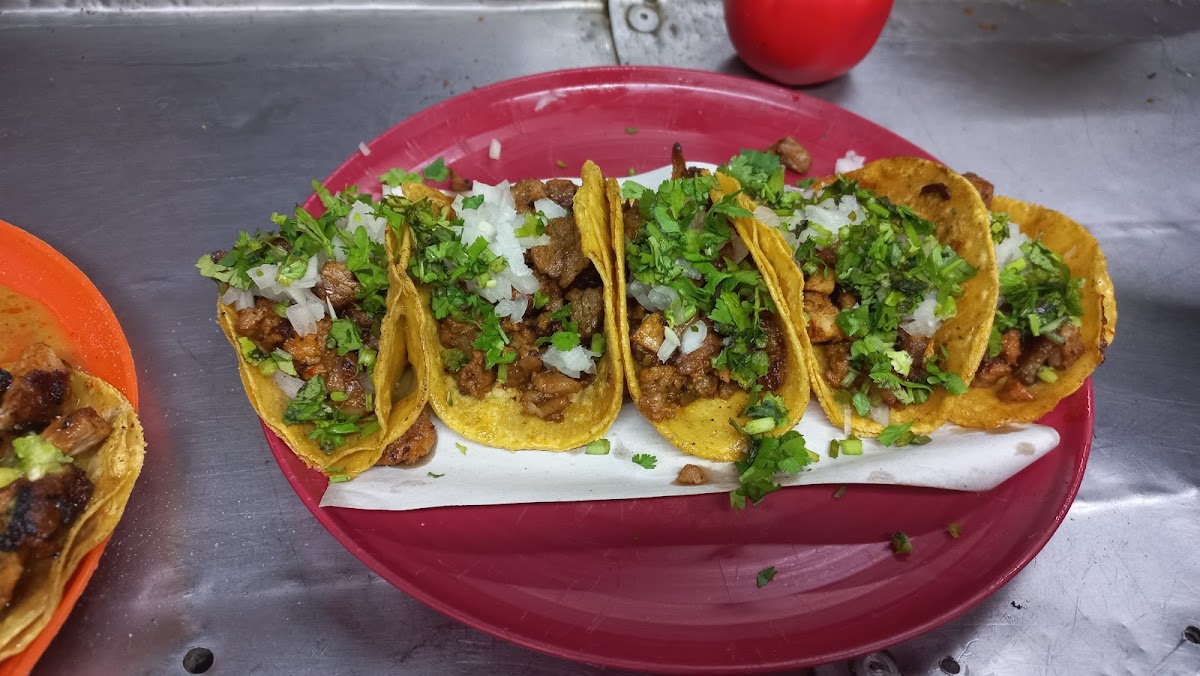 Taqueria el Güero