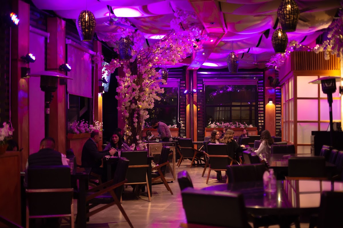 Matsumoto Japanese Cuisine