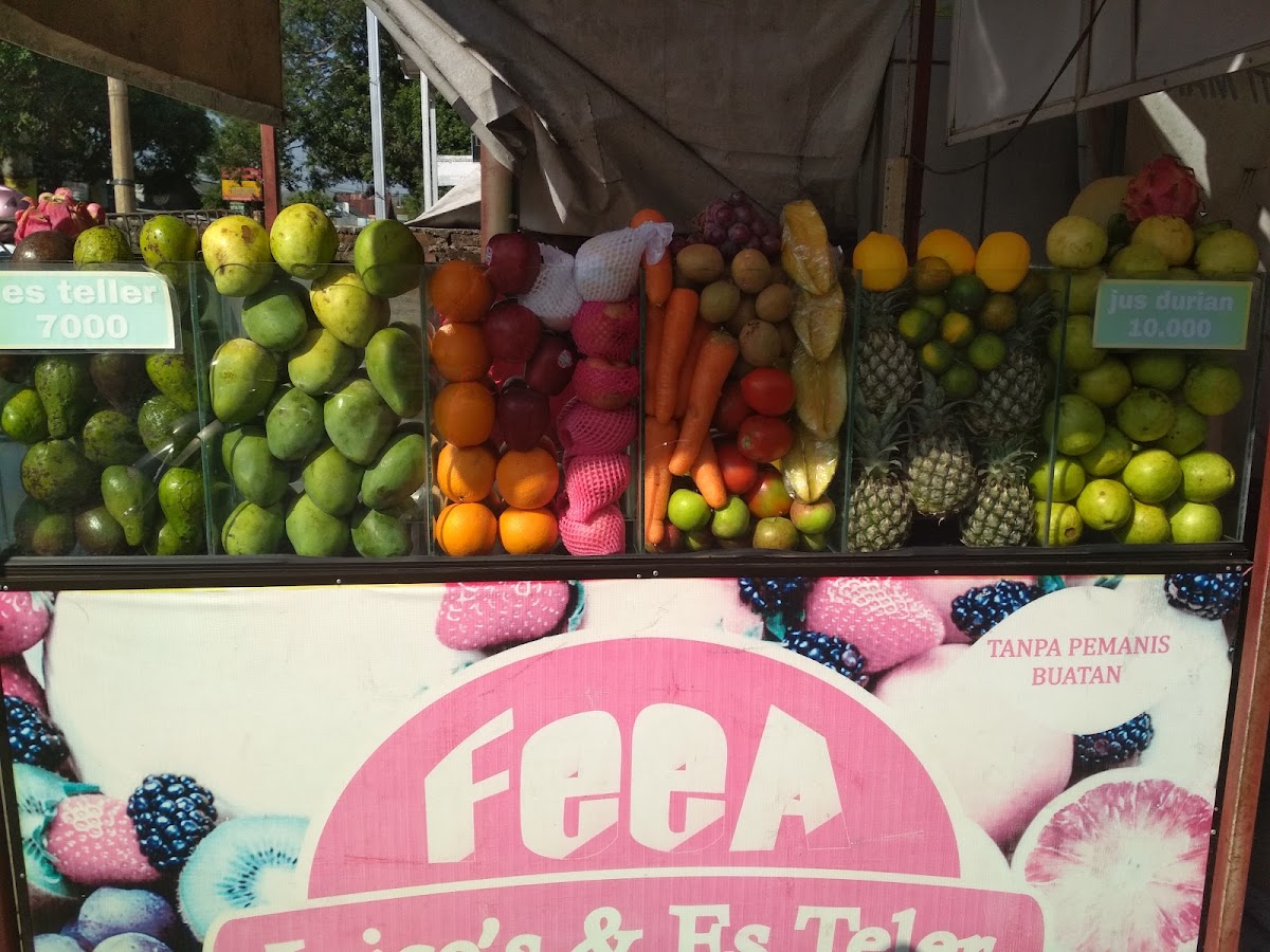 Feea Juice & Esteler