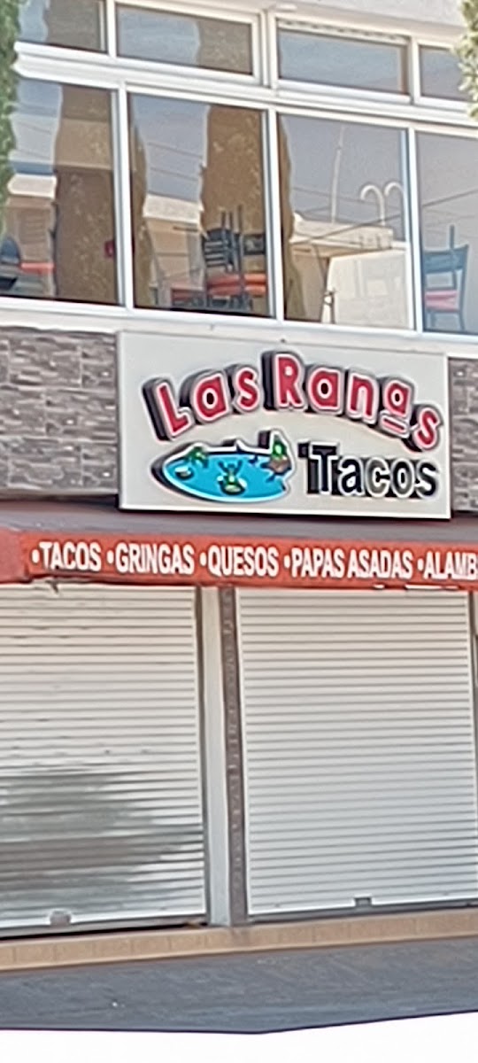 Tacos las ranas.