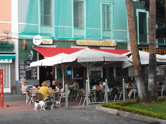 Gran Terraza Lolita Pluma