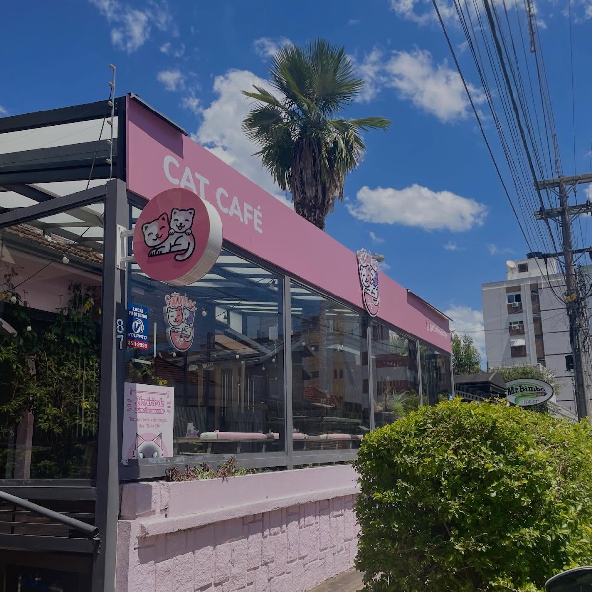 Gatinhos Café