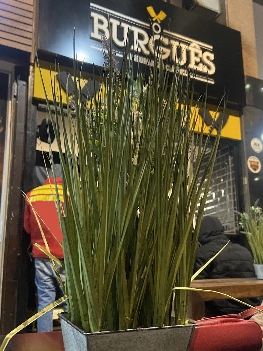 O Burguês - Hamburgueria Clássica | Belo Horizonte
