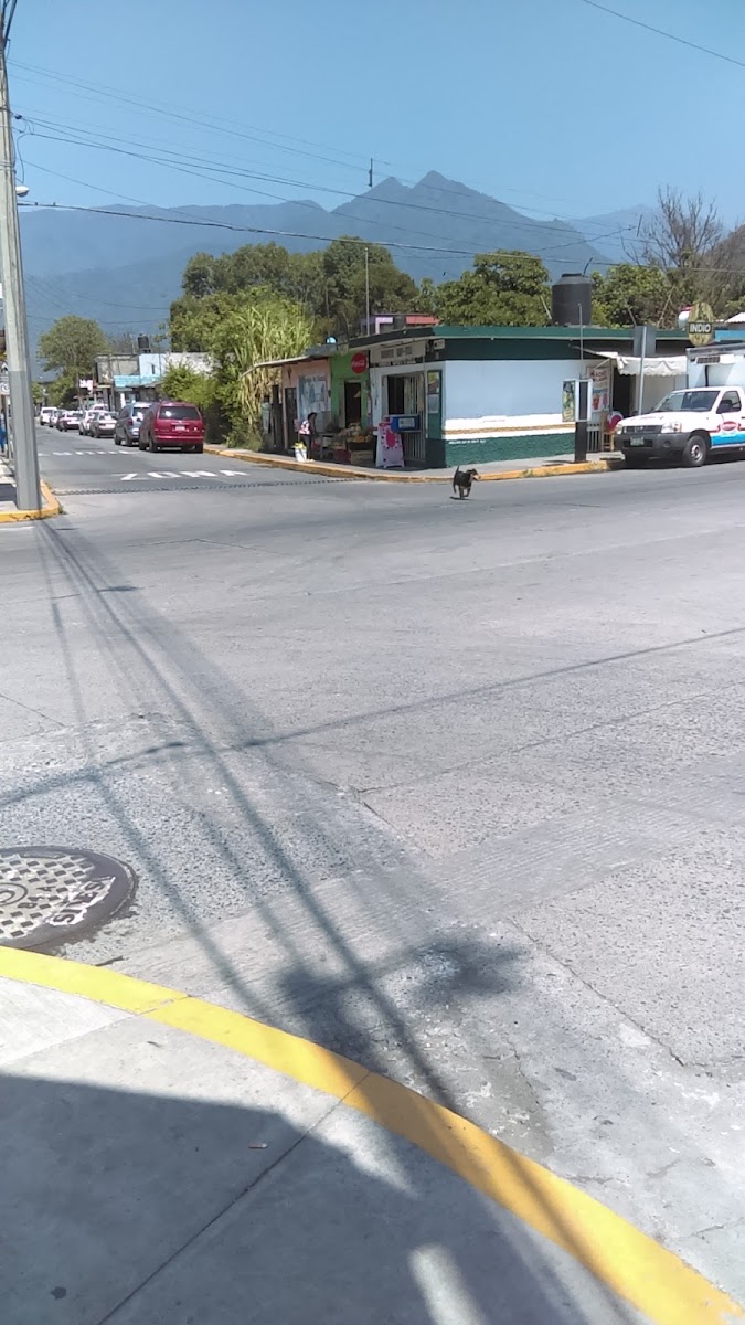 Abarrotes Itzel