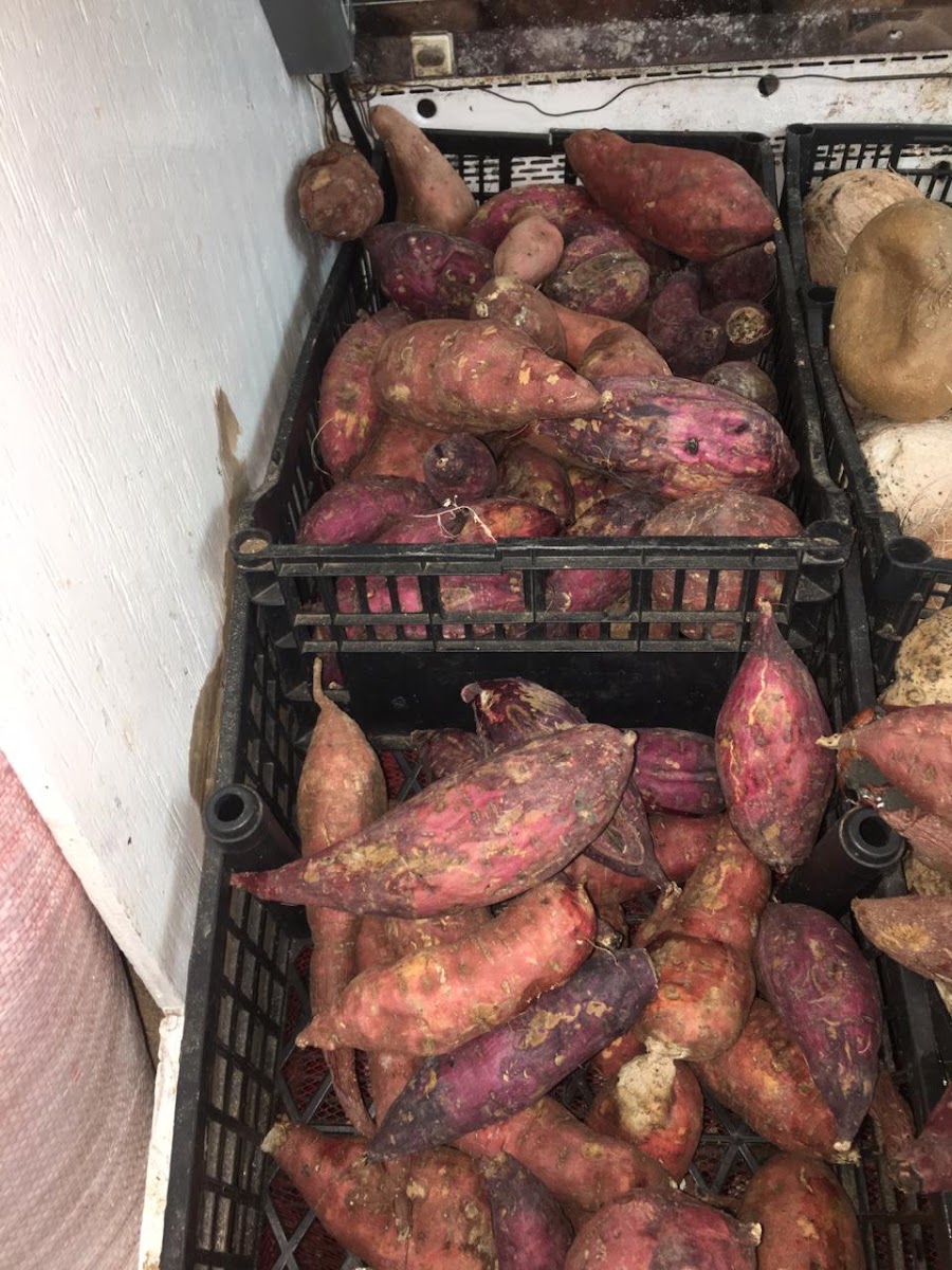 Abarrotes Mi Tiendita