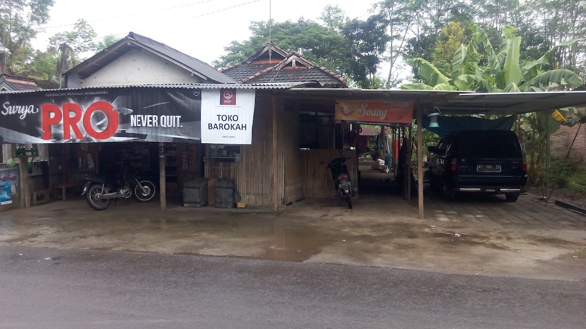 Coffea 'WB' Rowo Luwak