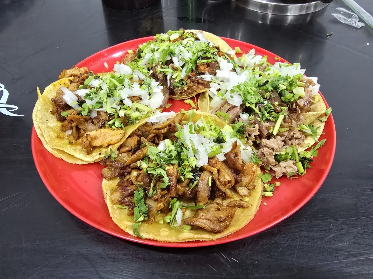 Taco Bambú