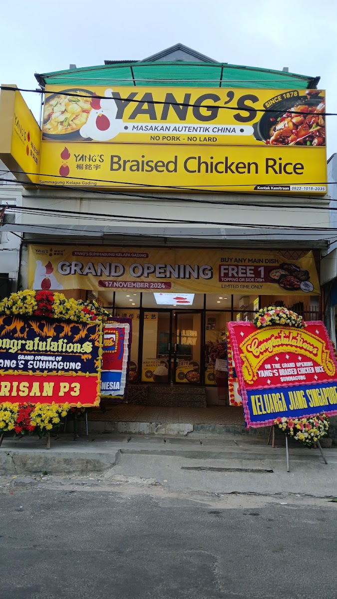 Yang's Braised Chicken Rice Summagung