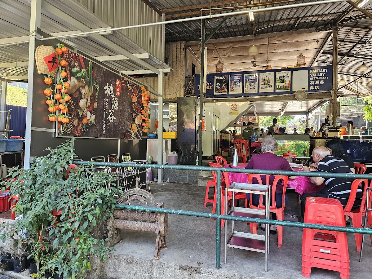Fantasy Valley Restaurant 桃源谷饭店