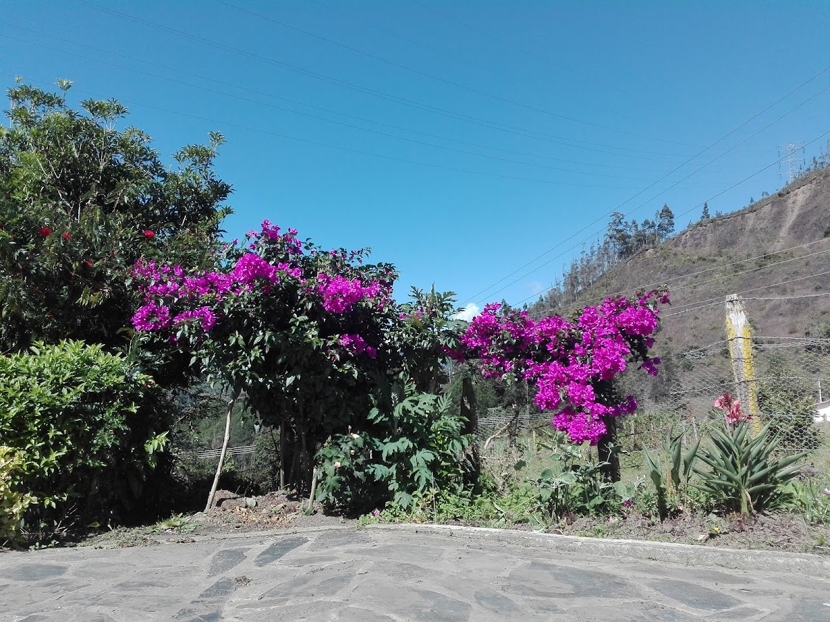 Paradero Costa Azul