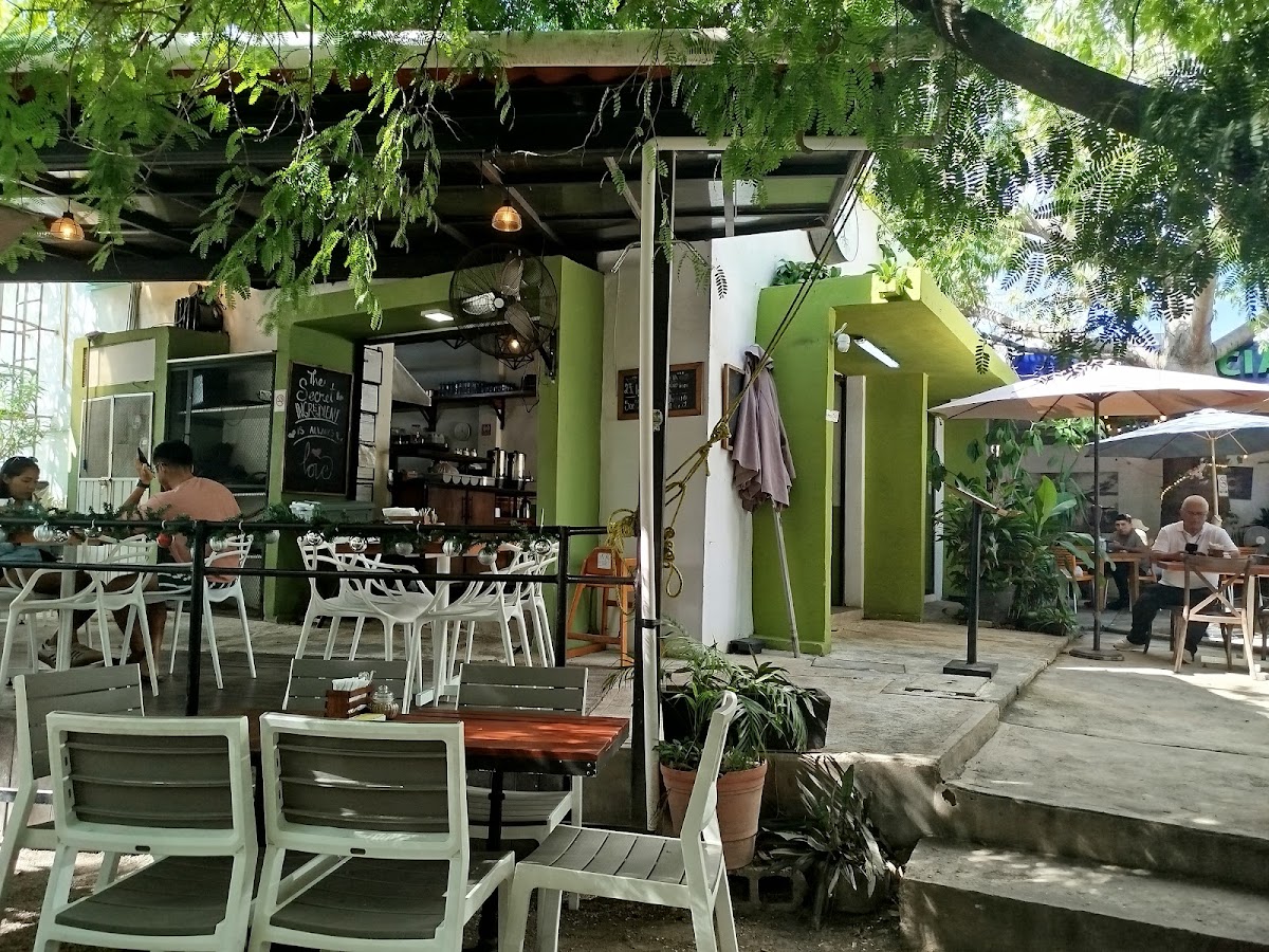 Jardín 28 PDC
