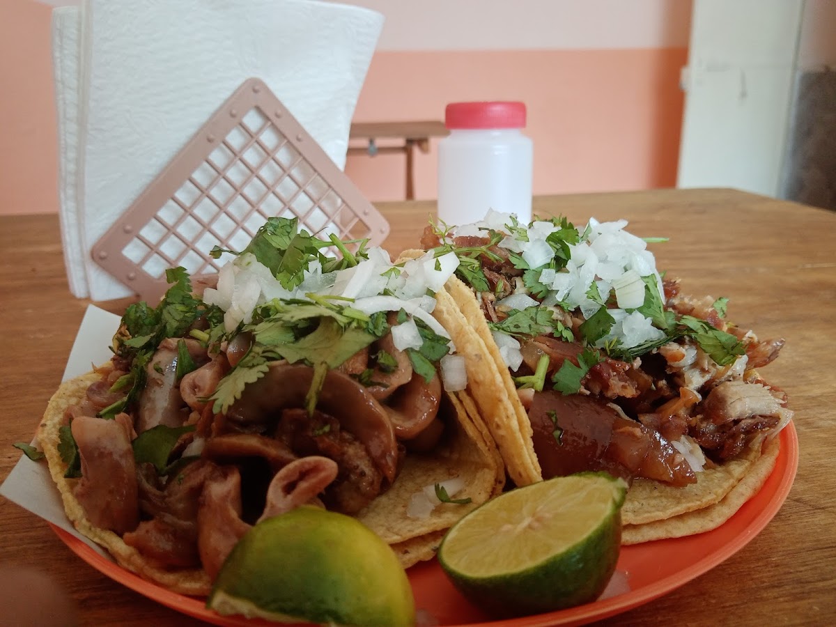 Carnitas 'El Gato Felix'