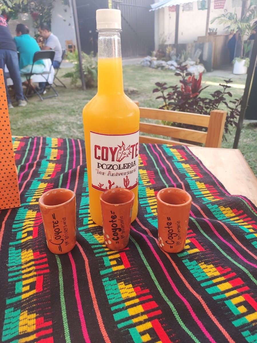COYOTE Pozolería