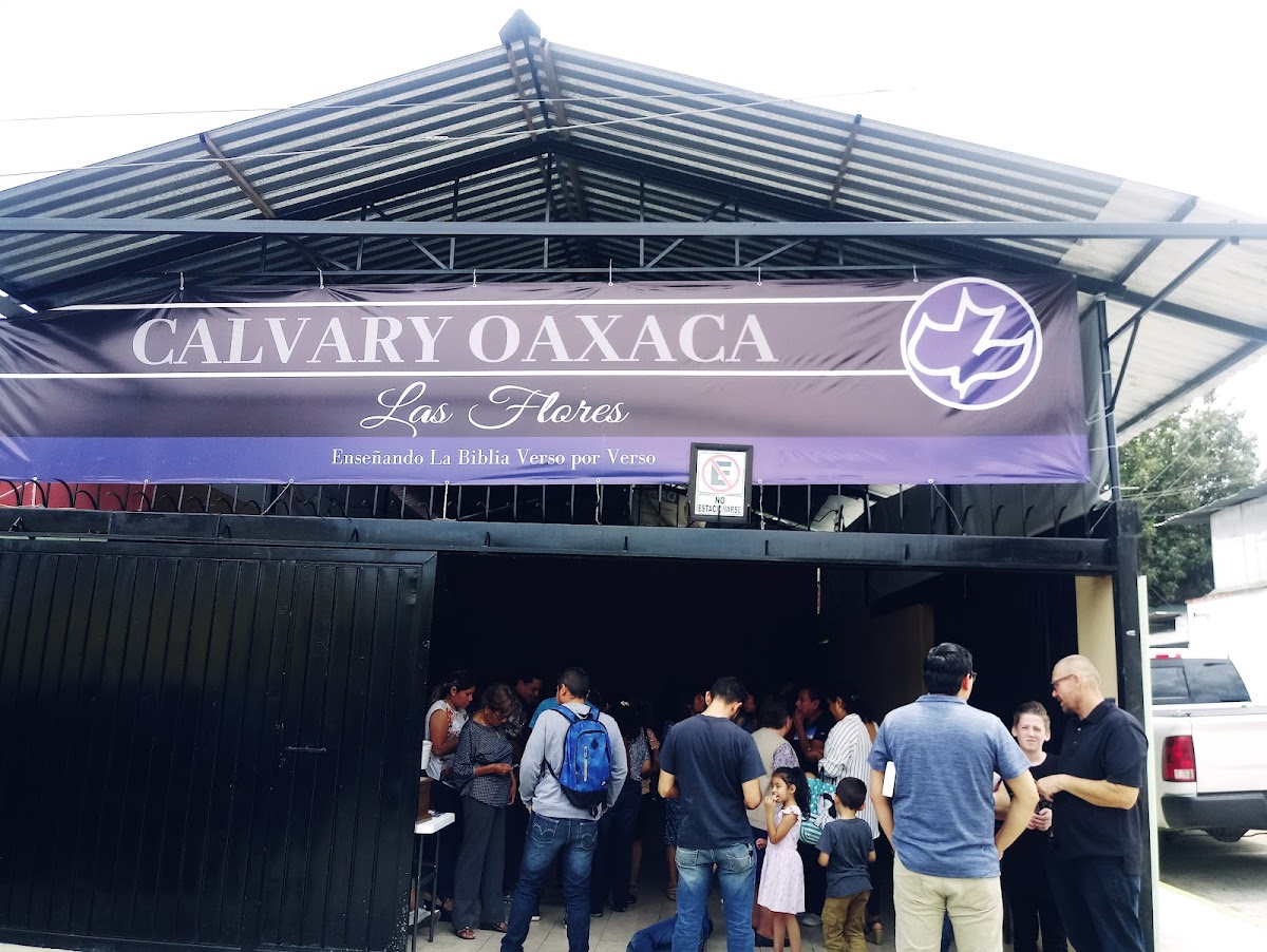 Cafetería Vegana Schizandra