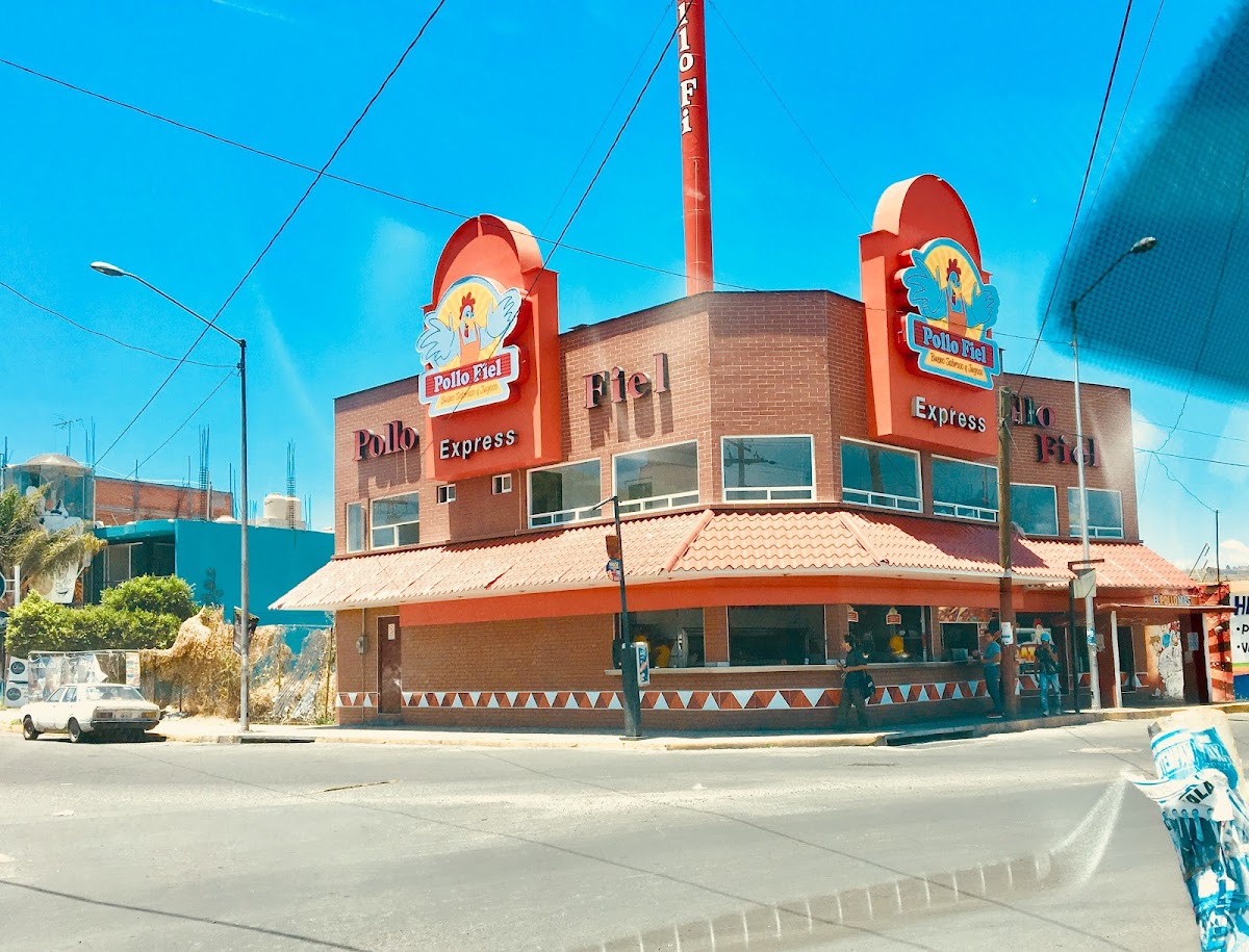 Pollo Fiel