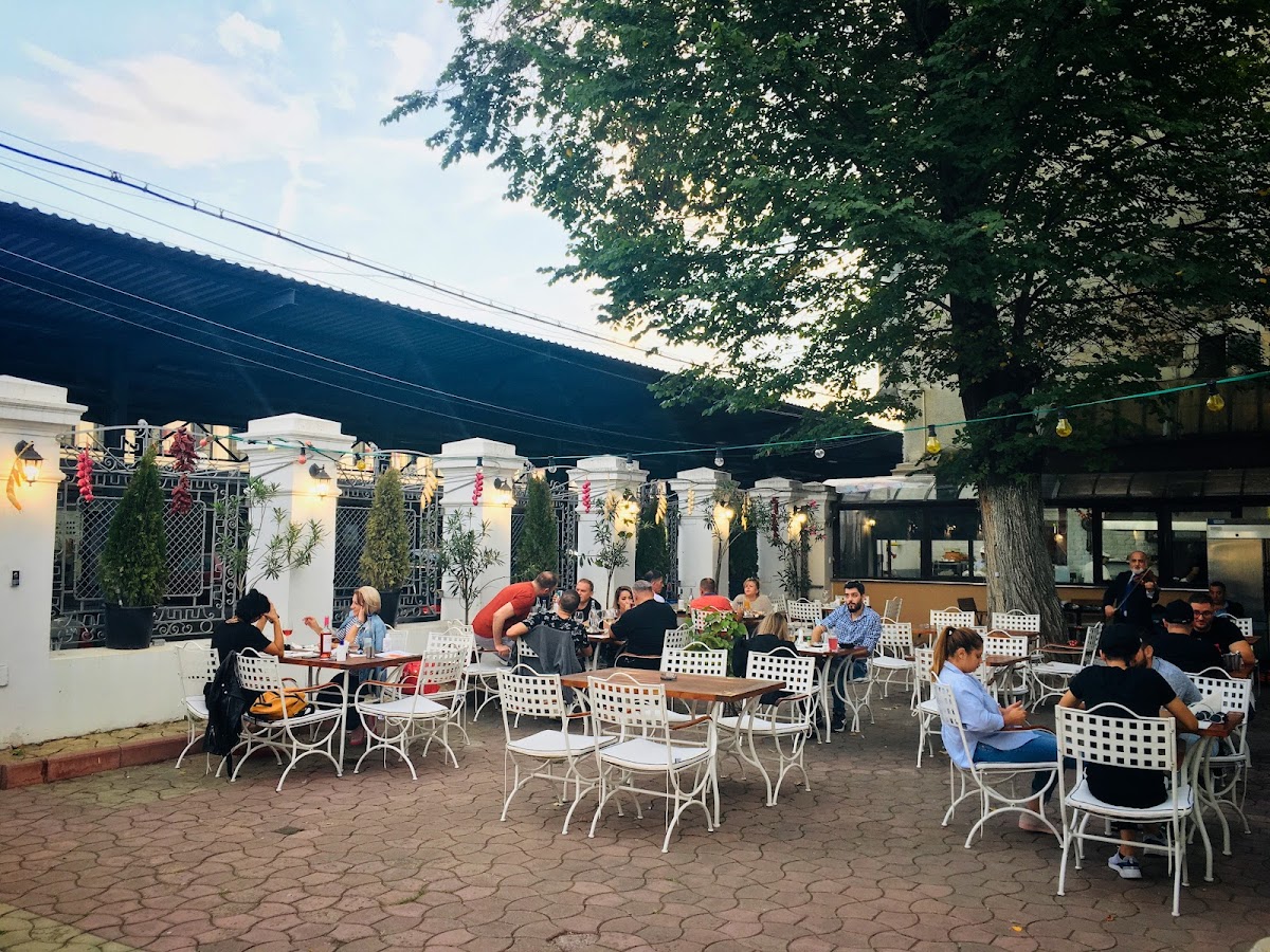 Politică și Delicatețuri București
